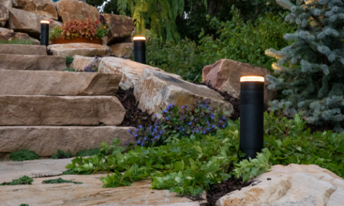 Episode Radiance outdoor speakers and lighting blended into the landscape